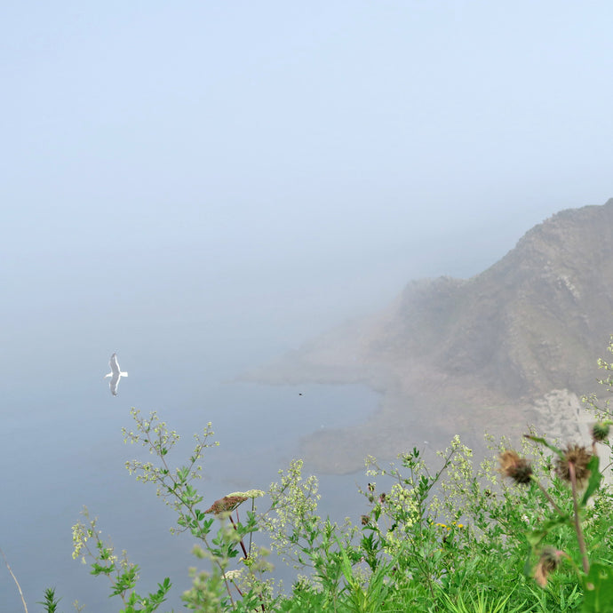 此刻大霧可能未能看清楚前面風景，雖是霧景，但也有可欣賞之處。只要靜心地看，待霧散去，就自然可以看得清楚，海闊天空。